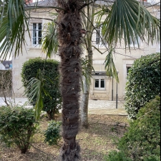 Bourges Proche Centre Ville Belle maison