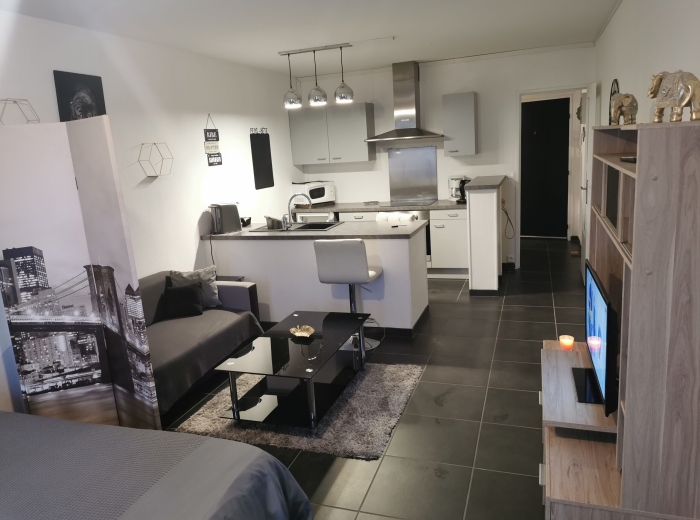 appartement meublé loué Bourges centre